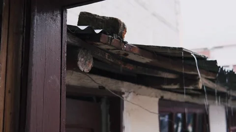 Rainy day Stock Footage 237400761