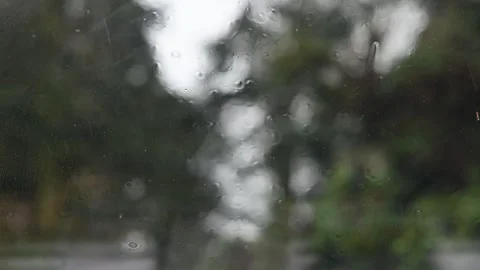 Rainy day Stock Footage 270766734