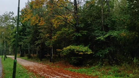 Rainy day 스톡 동영상 285218312