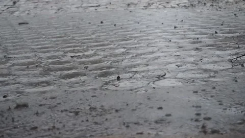Rainy day Stock Footage 301216276