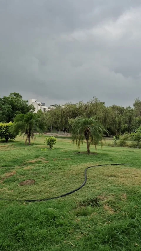 Rainy day Stock Footage 312243551