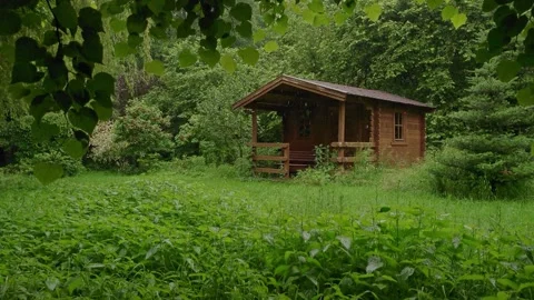 Rainy day in a garden Stock-Footage 150589460