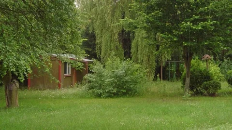 Rainy day in a garden Video stock 150589691