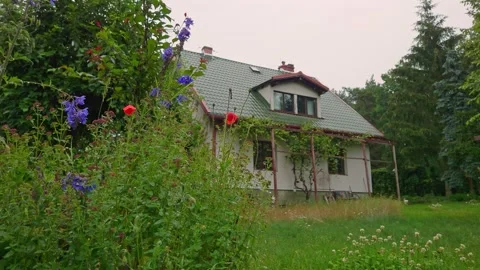Rainy day in a garden Video stock 150589799