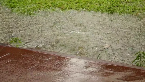 Rainy day, heavy rain falling down to stagnant ground Stock Footage 111499877