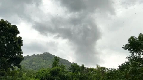 Rainy Day Landscape, Raining Tree And Treetop On Grey Sky Stock Footage 273660450