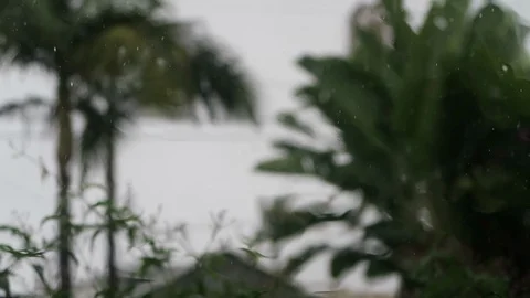 Rainy day Looking out a window￼ on a dark and stormy day. Stock Footage 118846845