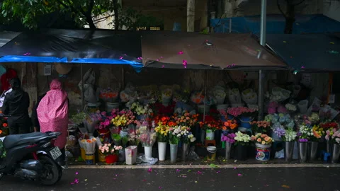 Rainy Day Magic in Hanoi: The Charm of a Flower Shop Stock Footage 270793529