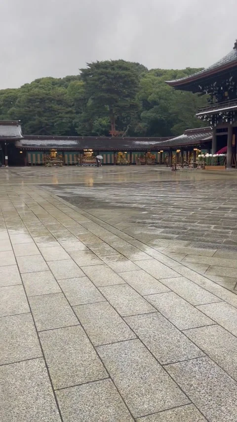 Rainy day man walking Stock Footage 236266304