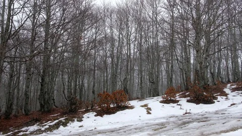 Rainy day in Monte Livata Stock Footage 122924137