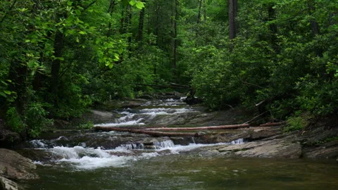 Rainy day on a mountain stream Stock Footage 335795687