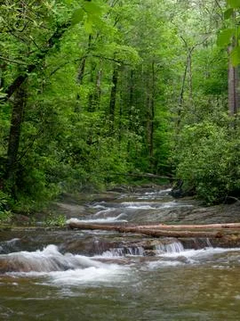 Rainy day on a mountain stream Foto stock