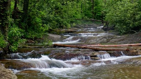 Rainy day on a mountain stream Stock-Fotos
