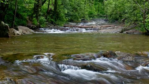 Rainy day on a mountain stream Foto stock