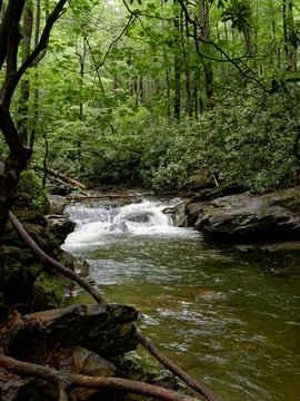 Rainy day on a mountain stream 库存照片