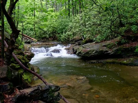 Rainy day on a mountain stream Foto stock