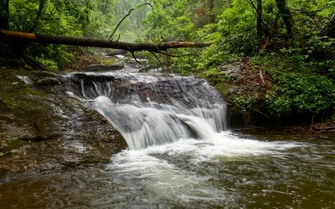 Rainy day on a mountain stream with small waterfall Fotos de archivo