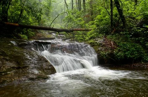 Rainy day on a mountain stream with small waterfall Fotos de archivo