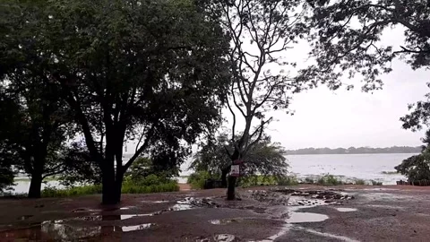 Rainy Day Muddy Field Trees Lake Stock Footage 264262449