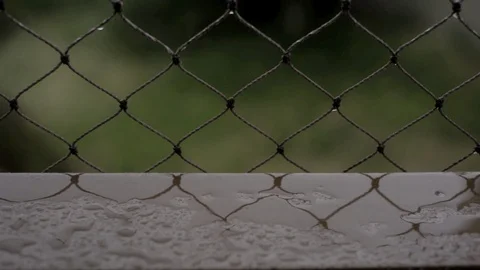 Rainy day from my window 動画素材 123859888