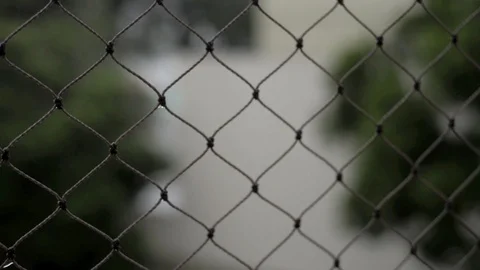 Rainy day from my window 動画素材 123860601