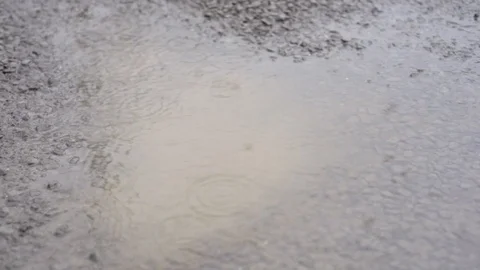 Rainy day from my window 動画素材 123862664