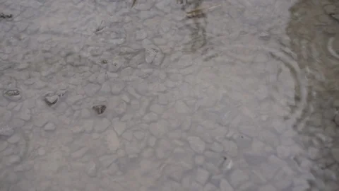 Rainy day from my window Видео 123863385