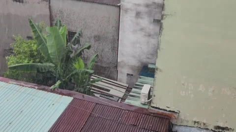 Rainy Day Overlooking Urban Rooftops with Banana Trees Stock Footage 291701992