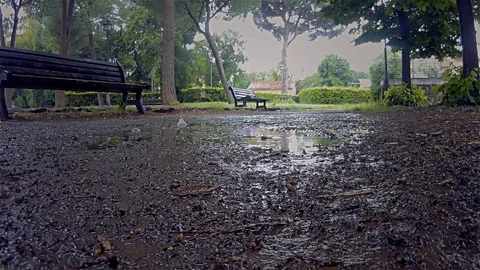 A rainy day in the park. Stock Footage 108938109