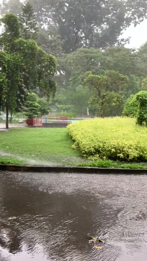 Rainy day in a park, Ho Chi Minh Vidéo 345133941