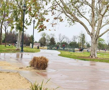 Rainy day at the park Foto stock