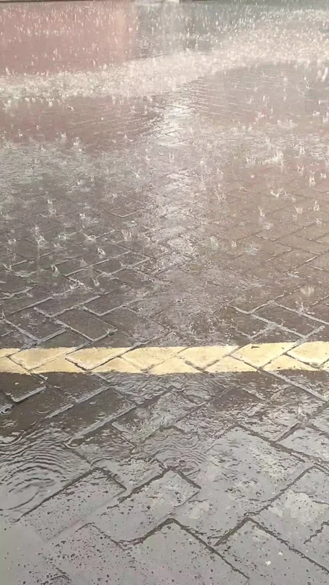 Rainy Day Pavement: A Serene View of Rain Falling on City Pavement Stock Footage 297862852
