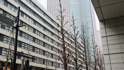 Rainy Day Pedestrians Walking Through Tokyo City Street Stock Footage 335103256