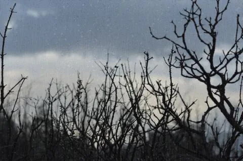 Rainy day Stock Photos