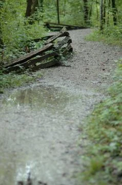 Rainy Day Stock Photos