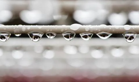 Rainy day Stock Photos