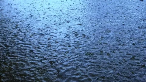 Rainy day in the pond Stock Footage 240337085