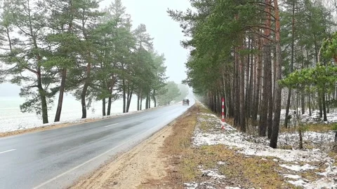 Rainy day on a quiet road surrounded by trees in a rural area in early spring Video stock 325216195
