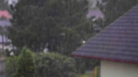 Rainy day , rain falling viewed from window Stock Footage 139873363