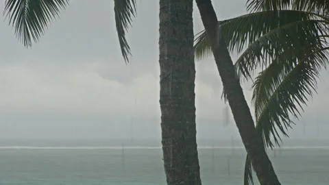 Rainy day in Rarotonga Stock Footage 246956217