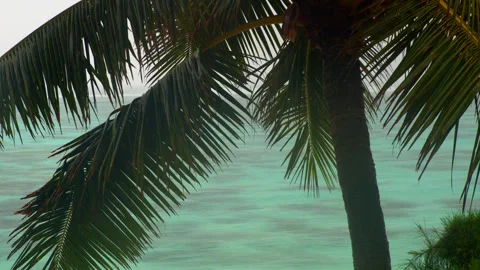 Rainy day in Rarotonga Stock Footage 246956451