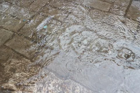 Rainy Day Reflections Stock Photos