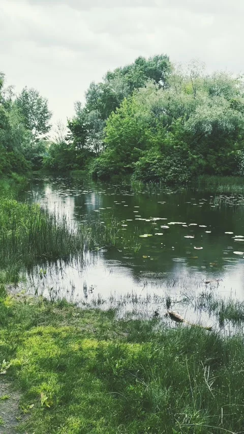 Rainy day on the river Stock-Footage 310174549