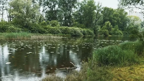Rainy day on the river Stockbeeldmateriaal 310174552