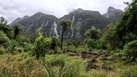 Rainy Day at Sandfly Point: Dramatic Waterfalls Cascading from Lush Cliffs .. Stock Footage 295247585