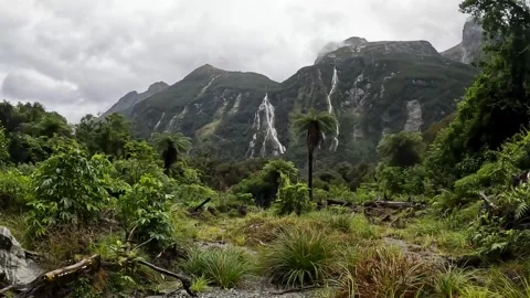 Rainy Day at Sandfly Point: Dramatic Waterfalls Cascading from Lush Cliffs .. Stock Footage 295247587