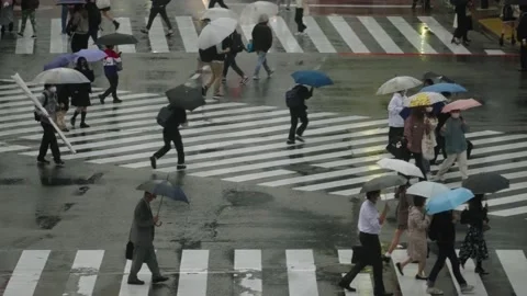 Rain day shibuya Stock Photos and Images