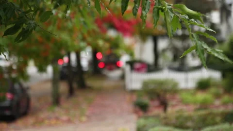 RAINY DAY SIDEWALK Stock Footage 186716813
