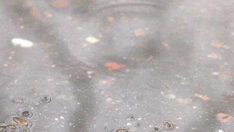 Rainy day in spring and puddles on asphalt Stock Footage 196463440