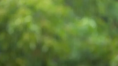 Rainy Day At Summer Time Stock-Footage 143795531
